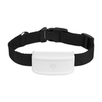 Nemokamas web monitoringas